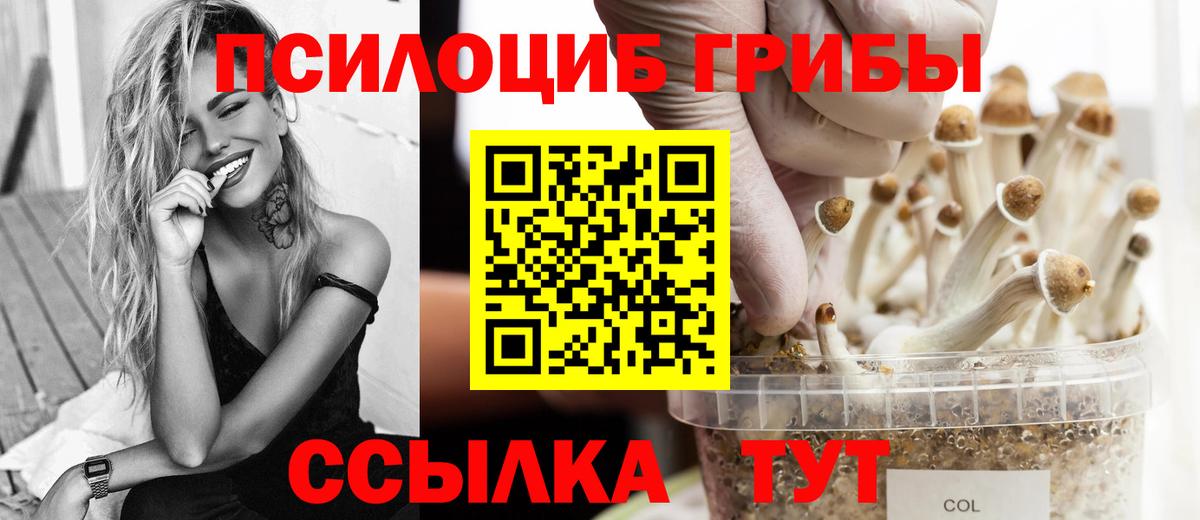 Улан-Удэ  купить  цена  Вход с VPN  Галлюциногенные грибы мицелий 